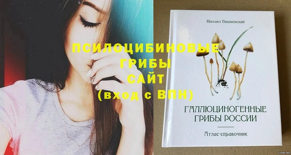 соль курить ск Горно-Алтайск