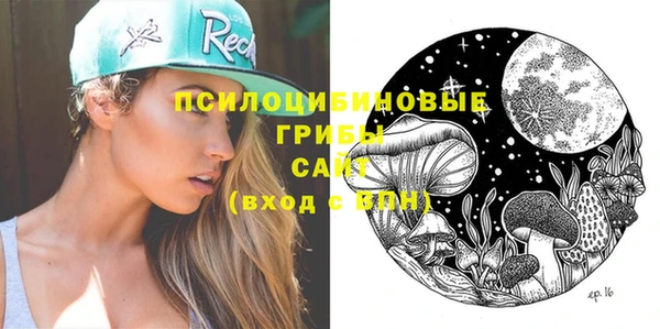 соль курить ск Горно-Алтайск