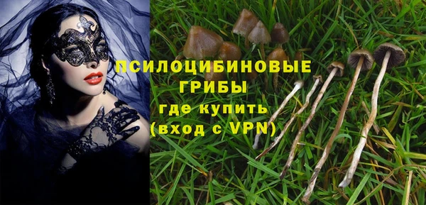 гашик Горнозаводск