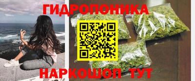 соль ск Кингисепп